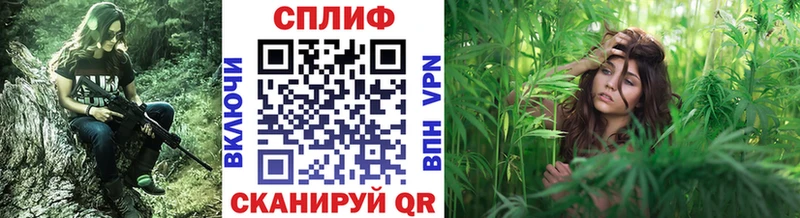 Купить где  Чехов  Конопля SATIVA & INDICA 